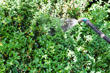 Similar image 11770381