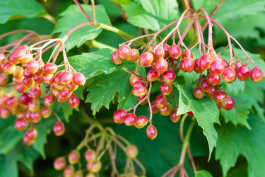 Similar image 11770415