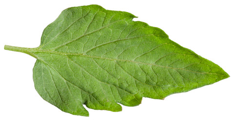 Similar image 11770419