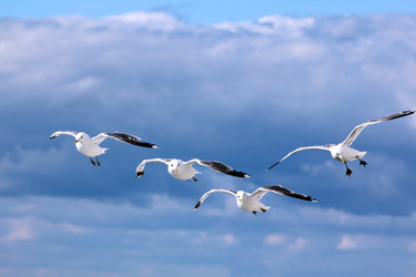 Similar image 11754393