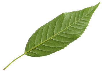 Similar image 11770218