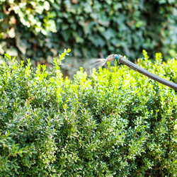 Similar image 11770219