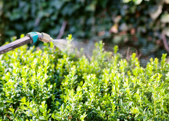 Similar image 11770224