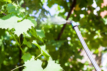 Similar image 11770228