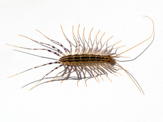 Similar image 11770229