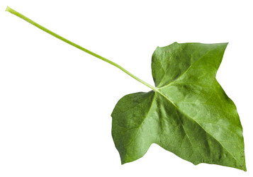 Similar image 11770257