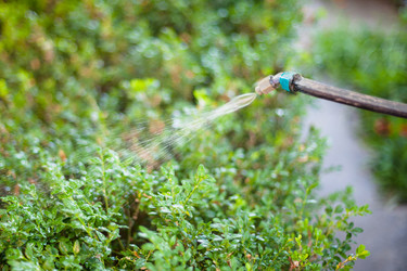 Similar image 11770260