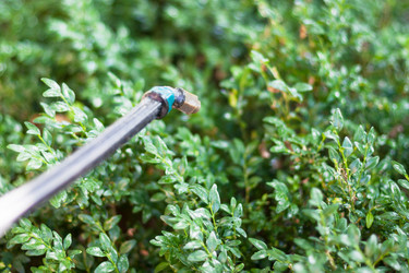 Similar image 11770261