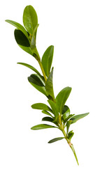 Similar image 11770268