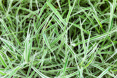 Similar image 11770300