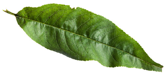 Similar image 11770303