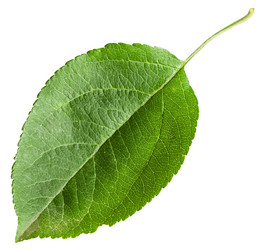 Similar image 11770320