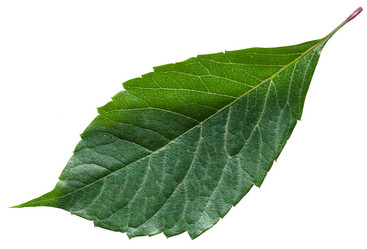 Similar image 11770325