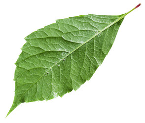 Similar image 11770338