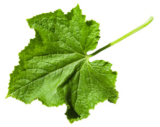 Similar image 11770358