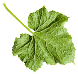 Similar image 11770359