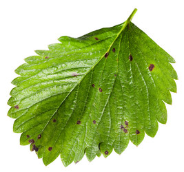 Similar image 11770360