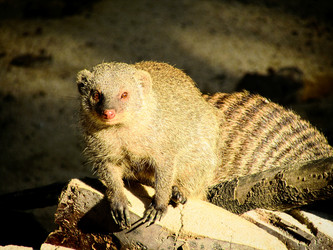 Similar image 11754398