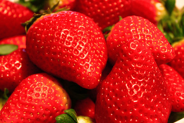 Similar image 11754399