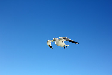 Similar image 11754400