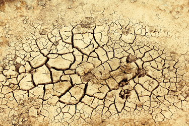 Similar image 11754405