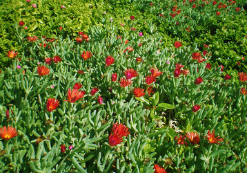 Similar image 11754406