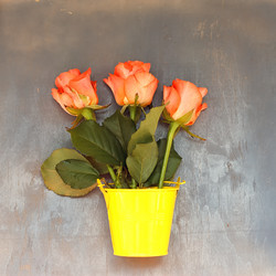 Similar image 11769101