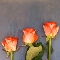 Similar image 11769102