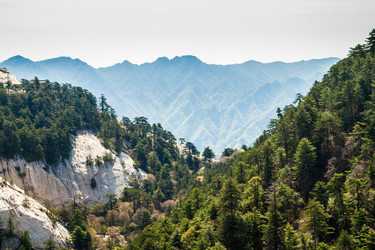 Similar image 11754119