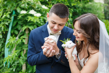 Similar image 11769268