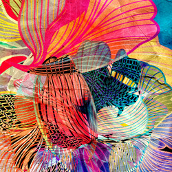 Similar image 11754321