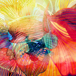 Similar image 11754323