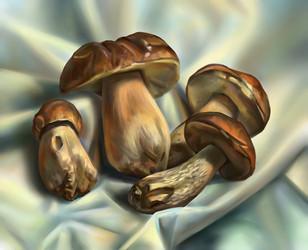 Similar image 11753796