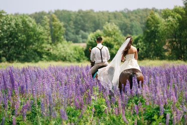 Similar image 11769282