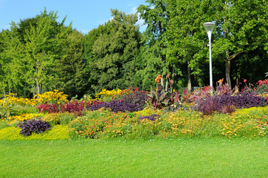 Similar image 11754916