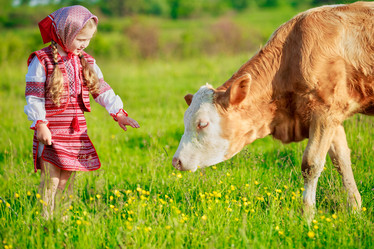 Similar image 11768318