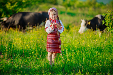 Similar image 11768326