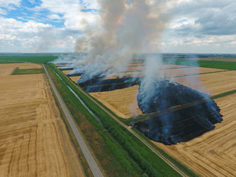 Similar image 11753818