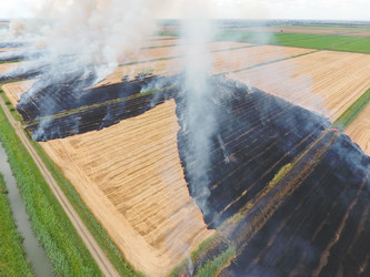 Similar image 11753819