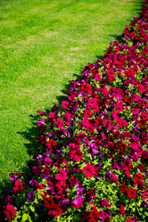 Similar image 11754161