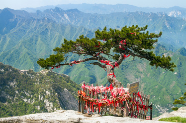 Similar image 11754103