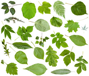 Similar image 11770420