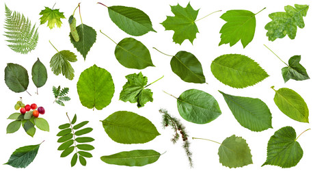 Similar image 11770421