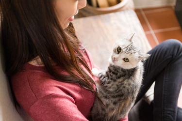 Similar image 11774599