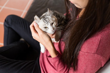 Similar image 11774615