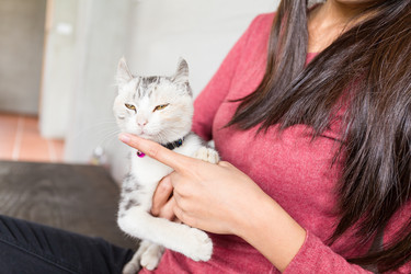 Similar image 11774636