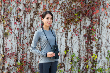 Similar image 11773995