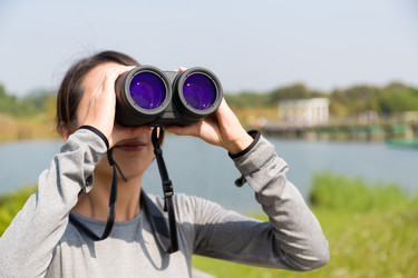 Similar image 11774118