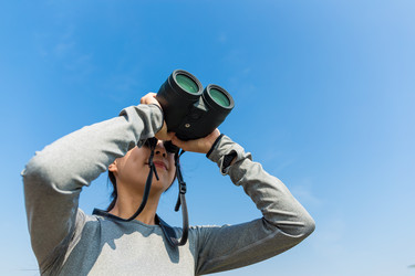 Similar image 11774136