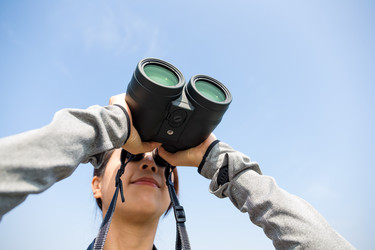 Similar image 11774137